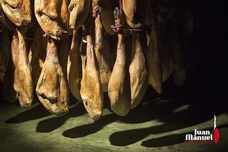 Cómo se distingue un jamón ibérico de un jamón ibérico bellota Juan Manuel curación