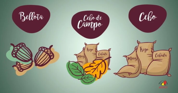 tipo de alimento