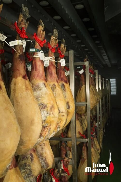 proceso de curación en el jamón ibérico