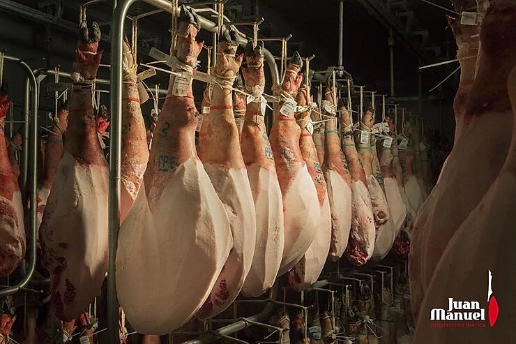 proceso de salado en el jamón ibérico