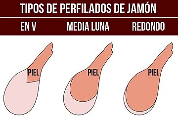 tipos de perfilados de jamón